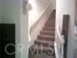 27959 Cactus #B thumbnail 12