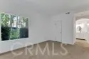 5 Cinnamon Teal thumbnail 12