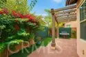 31 Shellbark thumbnail 6