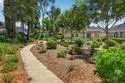 2207 Arborvitae thumbnail 4