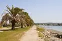 2770 Farragut Road #116 thumbnail 45