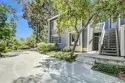 25335 Pine Creek thumbnail 1