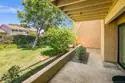 2538 Caminito Muirfield thumbnail 39