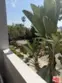 1328 Havenhurst Drive #202 thumbnail 39