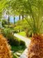 34134 Selva Road #248 thumbnail 6