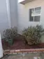 205 13th Street #D thumbnail 6