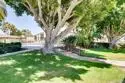 432 Edgehill Lane #156 thumbnail 13