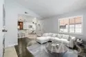 21227 Camelia #18 thumbnail 1