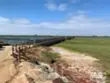 17151 Corbina thumbnail 39