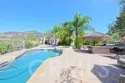 26784 Lemon Grass thumbnail 29
