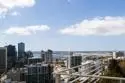 702 Ash Street #1400 thumbnail 43