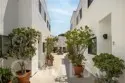 2500 Abbot Kinney Boulevard #20 thumbnail 9