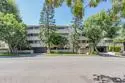 11645 Montana Avenue #318 thumbnail 2