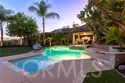 26843 Orchid Tree thumbnail 3