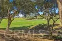 48 Paseo Verde thumbnail 31