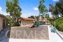 21256 Camelia thumbnail 29