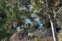 5704 Baltimore Drive #320 thumbnail 11