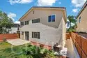 41211 Pine Tree thumbnail 47