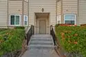 1274 Holly Avenue thumbnail 9