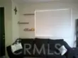 27959 Cactus #B thumbnail 5