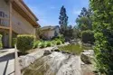 127 Lemon thumbnail 21