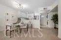 324 Tangelo thumbnail 9