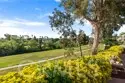 40511 Via Amapola thumbnail 31