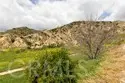 16652 Nicklaus Drive #94 thumbnail 34