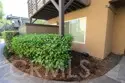 1480 W Lambert #279 thumbnail 2
