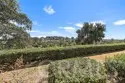 30902 Clubhouse #25C thumbnail 24