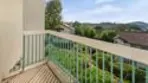 16424 Avenida Venusto #C thumbnail 31