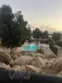 1051 Rock Springs #241 thumbnail 22