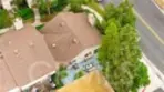 2 Snapdragon thumbnail 25