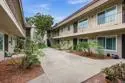 4503 Hamilton Street #1 thumbnail 5