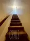 19451 Sherman Way #501 thumbnail 30