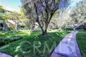 424 N Bellflower #101 thumbnail 30