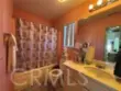 42124 Orange Blossom thumbnail 11