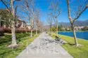 38 Carnation thumbnail 44