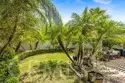 16 Pineoak thumbnail 8