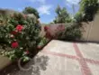 45 Golden Glen Street #75 thumbnail 32