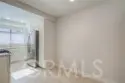 25261 Tanoak thumbnail 14