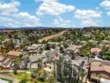 41211 Pine Tree thumbnail 5