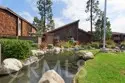 33852 Del Obispo Street #9 thumbnail 45