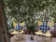 7800 Topanga Canyon #112 thumbnail 31