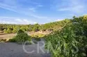38311 Chaparral Drive thumbnail 30