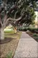 16130 Avenida Venusto thumbnail 38