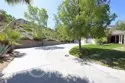 26784 Lemon Grass thumbnail 9