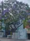 550 Orange Avenue #320 thumbnail 2