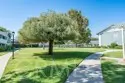 7161 Santa Isabel Circle thumbnail 35