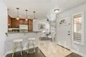 21227 Camelia #18 thumbnail 5